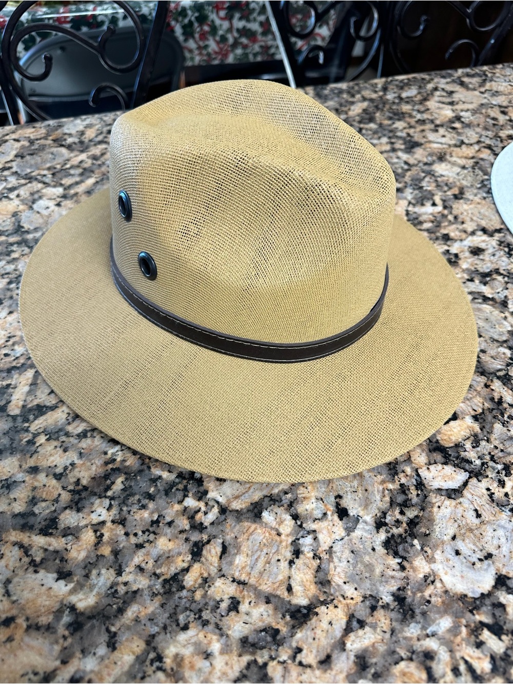 Wide-Brim Straw Fedora Hat in Tan with Dark Trim